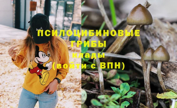 твердый Навашино