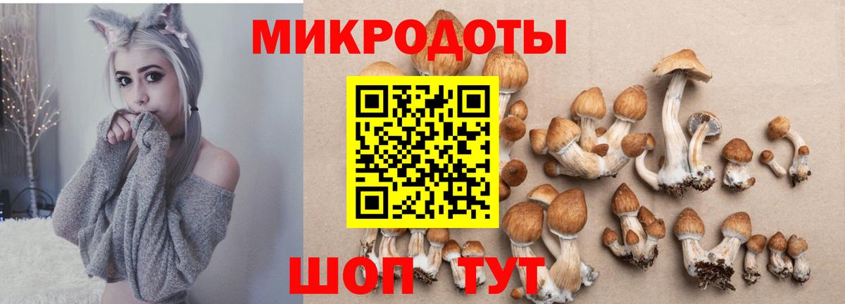 Псилоцибиновые грибы ЛСД  Галлюциногенные грибы прущие грибы  Евпатория  Вход с VPN 
